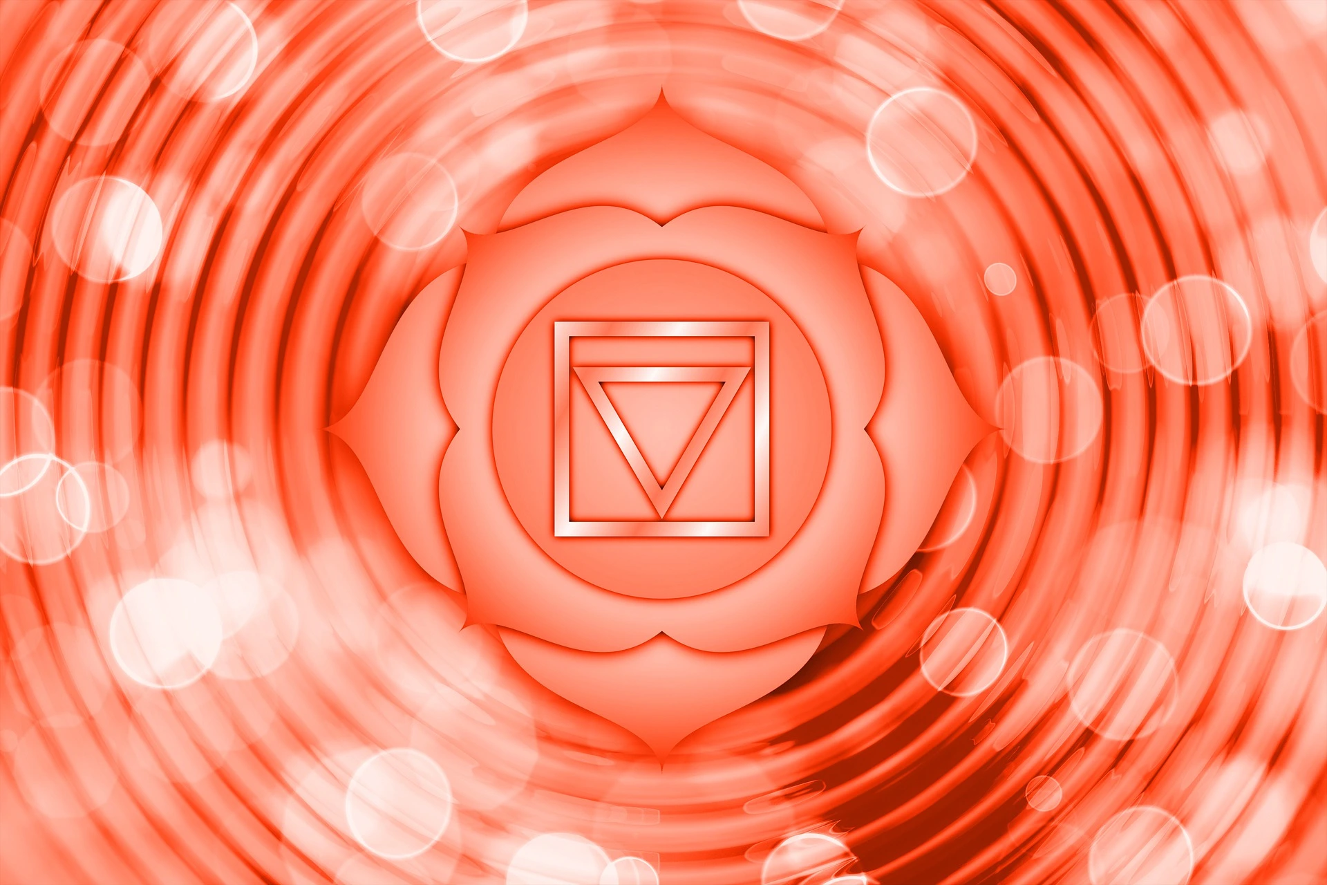 Chakra racine : muladhara