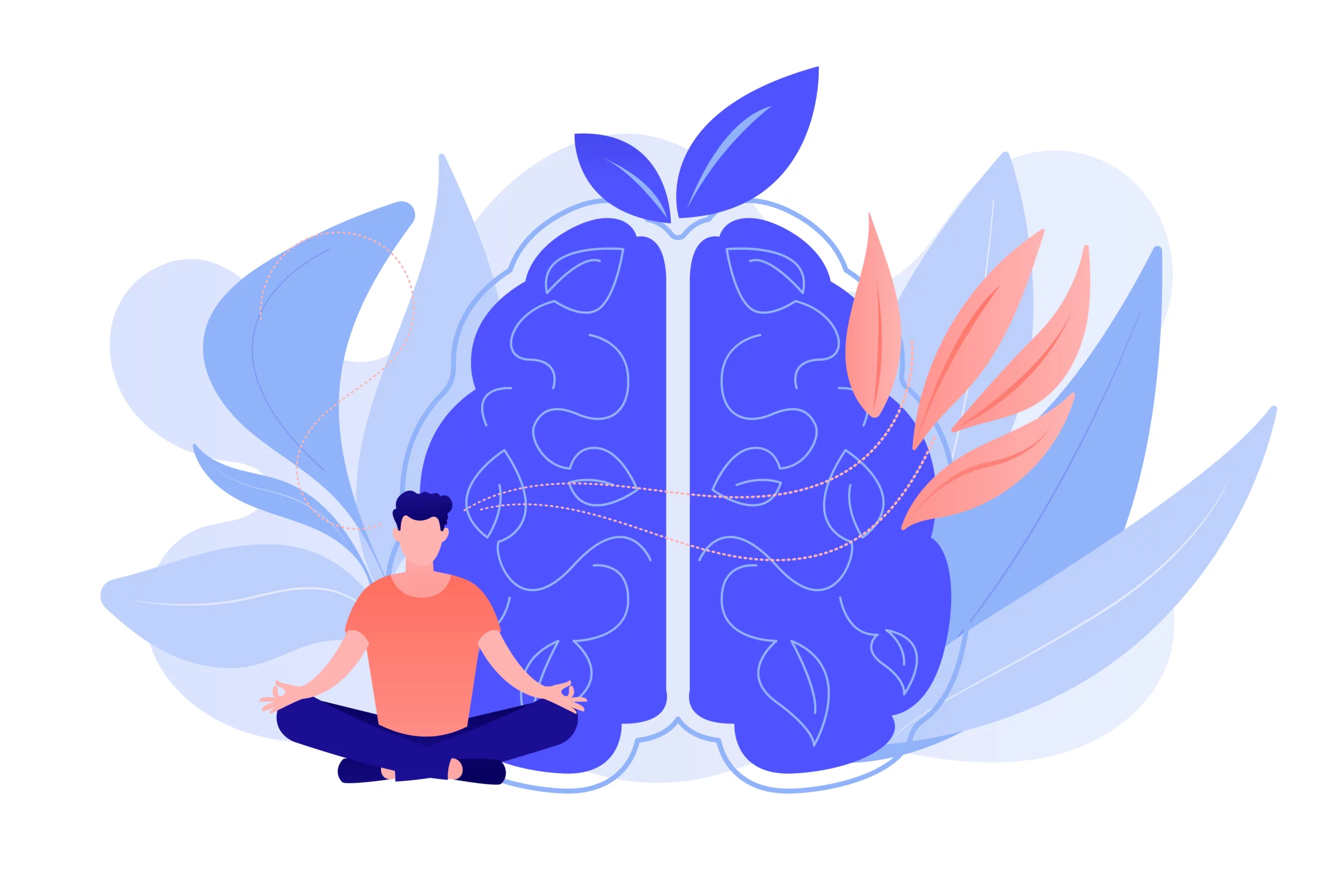 Méditation & cerveau